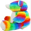 Getagift Anniversary Being My Wife Is Really The Only Gift You Need Birthday Valentines Day Soft Toys, Teddy Bear. (Rainbow Bear) view 4