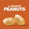 KIND Protein Bars, Gluten Free Snack Bars, Crunchy Peanut Butter, High Fibre, Healthy Snack, Source of Protein, No Artificial Colours, Flavours or Preservatives, Multipack 3 x 42g view 4