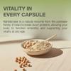 Nattokinase 2,000 FU per Capsule - High-Strength 240 Nattokinase Capsules from Fermented Natto Soybeans - 8 Months Supply - Non-GMO, Natural & Vegan- Laboratory Tested - Raibu view 4