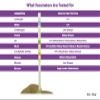 One Step 5 x Vet Pet Urine Test Strips - Veterinary Animal - Cats - Dogs view 2