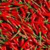 Farchioni - Chilli Pepper Olive Oil (250 ml) - Extra Virgin Olive Oil - Chilli Pepper Essence - Glass Bottle (250 ml) view 3