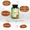Vegavero Organic Chaga Mushroom Extract | 6000 mg 10:1 Extract | 40% Polysaccharides, 30% Betaglucans | NO Additives | 120 Capsules | Vegan view 3