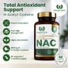 Royal Oak Health NAC 600mg | N-Acetyl-Cysteine | High Strength, Pure & Vegan Formula | 60 Capsules | Made in The UK view 2