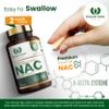 Royal Oak Health NAC 600mg | N-Acetyl-Cysteine | High Strength, Pure & Vegan Formula | 60 Capsules | Made in The UK view 4