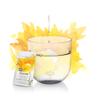 Liquid Infusions for Water - 18 Pack (Happiness) view 4