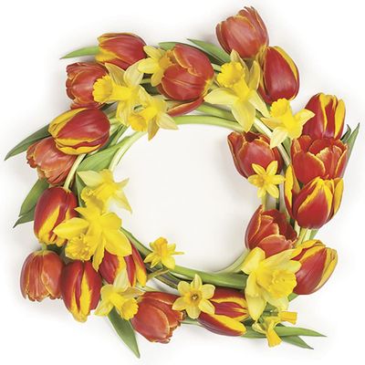 DAISY 3-Ply Flowery Tissue Paper Napkins Serviettes for Decoupage Lunch 33cm x 33cm - Pack of 20 (Red Tulips Wreath)