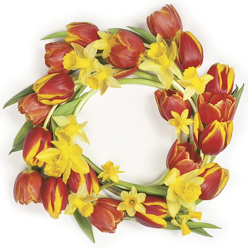 DAISY 3-Ply Flowery Tissue Paper Napkins Serviettes for Decoupage Lunch 33cm x 33cm - Pack of 20 (Red Tulips Wreath)
