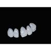 Real Instant Perfect Dental Oral Care Snap Smile False Teeth Tooth Cover Veneers Whitening Whitener Dentures view 3