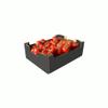 Fresh Vine Tomatoes Box view 1