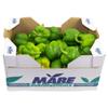 Fresh Green Pepper Box view 1