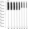 16 Pack Drinking Straw Cleaner Brushes, 8 Inch Extra Long Straw Cleaning Bottle Brush Stainless Steel Reusable Nylon Tube Pipe Brush Tool Set, 8 Sizes, White & Black view 2