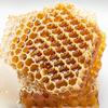RAW HONEYDEW | honeydew | king of honeys | 22KG | Raw, natural, very healthy, with no additives. Unfiltered, not spun or heated | Made by bees view 2