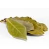 Clean Organic Rasna Leaf Powder- Pluchea Lanceolata -100% Pure, Clean and Natural (100) view 4