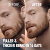 King C. Gillette Men's Beard Thickener, Fuller & Thicker Beard In 14 Days, Infused With King C. Signature Scent, With Notes Of Sandalwood, Cedar, Bergamot, Cardamon Seeds And Mandarin 50ml view 2
