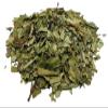 Dried Silver Birch Leaves 85g - 1,95kg Betula pendula (85 grams) view 1