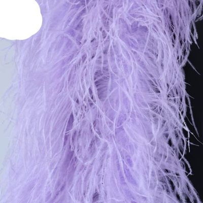 6 Ply Ostrich Feathers Boa Scarf Wedding Party Decoration Feather Shawl DIY Stage Clothing 2 Meters/1 pcs-Light Purple,6 Ply