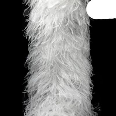 2Meters (1Ply 3Ply 5Ply 10Ply 20Ply) White Black Ostrich Feathers Boa Wedding Costume Cosplay Fashion Feathers for Crafts-20 Ply White