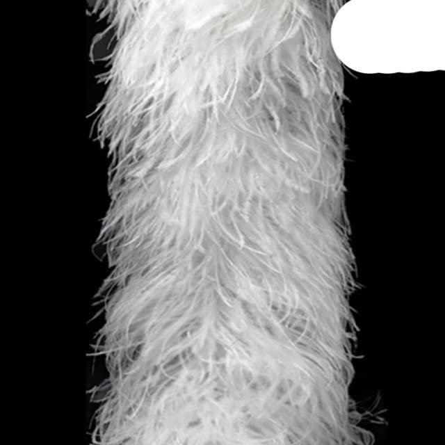 2Meters (1Ply 3Ply 5Ply 10Ply 20Ply) White Black Ostrich Feathers Boa Wedding Costume Cosplay Fashion Feathers for Crafts-20 Ply White