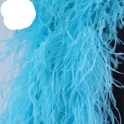 6 Ply Ostrich Feathers Boa Scarf Wedding Party Decoration Feather Shawl DIY Stage Clothing 2 Meters/1 pcs-Lake Blue,6 Ply