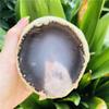 DOUPE Chakra Vibration Stone 390-450g natural agate crystal stone best gift for girlfriend family view 4