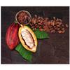 Douwe Egberts Cocoa Fantasy Instant Hot Chocolate, 1kg bag view 4
