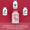 SMARTYPANTS Kids Probiotic Formula 60ct view 3