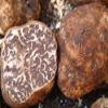 Truffle butter, Butter with white truffle tuber borchii vitt, Burro con tartufo, Intense taste and flavour, Suitable for white truffle risotto, appetizers, pasta dishes, meat, toast, popcorn 3 x 80g view 3