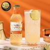 Double Dutch Ginger Ale | Smooth Ginger Ale with Natural Spice | Low Calorie Soft Drink | 100% Natural Ingredients | Gluten Free, Vegan Friendly Premium Mixer | 24 x 200ml Bottles view 2