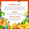 Double Dutch Ginger Ale | Smooth Ginger Ale with Natural Spice | Low Calorie Soft Drink | 100% Natural Ingredients | Gluten Free, Vegan Friendly Premium Mixer | 24 x 200ml Bottles view 3