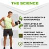 SCI-MX Ultra Plant - Chocolate Hazelnut Flavour Vegan Protein Powder Blend + Vitamin B Compex - Muscle Growth & Maintenance - Low Sugar, Non-GMO - 900g (20 servings) 34g protein per serving view 3