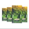 100% Pure Organic Sri Lankan Green Tea Bags | 100% Natural & Pure, 200 Teabags | High in Antioxidant | (Multi Pack of 4 x 50 Teabags) view 1
