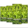 SRILUXE - Special Green Tea Loose Leaf Premium Quality | 100% Natural & Pure | High in Antioxidan | (Multi pack of 4 x 250g) view 1