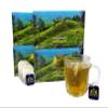 SRILUXE - Green Tea Bags | Bulky Buy 200 Teabags | 100% Natural & Pure | High in Antioxidants | (Multi Pack of 4 x 50 Teabags) view 1