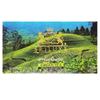 SRILUXE - Green Tea Bags | Bulky Buy 200 Teabags | 100% Natural & Pure | High in Antioxidants | (Multi Pack of 4 x 50 Teabags) view 2