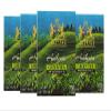 SRILUXE - Green Tea Bags from Sri Lanka | 100% Natural Green Tea | Detox Tea | High In ANTIOXIDANTS | Brew Hot or Iced 400 Teabags (Multi Pack of 4 x 100 Teabags) view 1