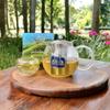 SRILUXE - Green Tea Bags from Sri Lanka | 100% Natural Green Tea | Detox Tea | High In ANTIOXIDANTS | Brew Hot or Iced 400 Teabags (Multi Pack of 4 x 100 Teabags) view 3