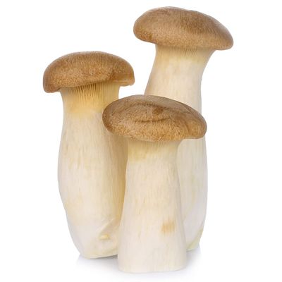 Fresh King Oyster Mushrooms 20 Units | Premium Gourmet Mushrooms | Ideal for Stir-Fries, Grilling, BBQ, Asian & Vegan Cooking | Meaty Texture & Rich Umami Flavour