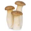 Fresh King Oyster Mushrooms 20 Units | Premium Gourmet Mushrooms | Ideal for Stir-Fries, Grilling, BBQ, Asian & Vegan Cooking | Meaty Texture & Rich Umami Flavour