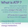 Optimox, ATP Cofactors, with Riboflavin (B2) and Niacin (B3), High Strength, 90 Vegan Tablets, Vegetarian, Gluten-Free, Soy-Free, Non-GMO view 3