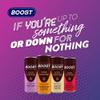 Boost Iced Coffee Cans Mocha | 12 Canned High Caffeine Drinks, Arabica and Robusta Coffee Beans and Milk | Iced Coffee Bulk Drinks | Gluten Free Coffee Chocolate Mocha Drinks Multipack | 12x250ml view 4