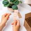 Bleeker and Rowe Biodegradable Individually Wrapped Floss Picks - Eco Friendly Flossers 150 Pack (PTFE Floss) view 2