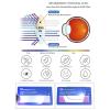 3PCS Fashion Round Eyewear Computer Reading Glasses Women Anti Fatigue Men's Blue Light Blocking Glasses for Sight Optical,Purple,+3.5 view 3