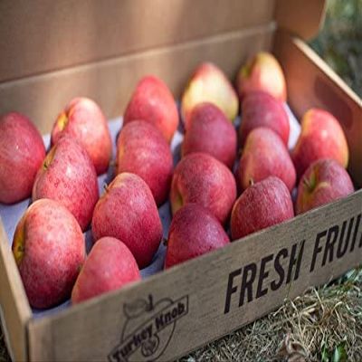 Pound Veg Orchard Fresh Gala Apple Box 36-44 Apples (depends on apple size)