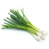 Spring Onions 30 Bunch | Fresh Green Onions | Crisp & Mild Flavour | Ideal for Salads, Stir-Fries & Garnishes | Catering & Retail Bulk Pack