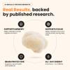 SOLVELabs  Lions Mane Powder  45% Beta-D-Glucans  10,000mg High Strength 10:1 Extract  Fruiting Bodies  Pure Lion's Mane Mushroom Powder  Vegan  Nootropic for Focus & Memory  30g view 3