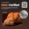 SOLVELabs  Lions Mane Powder  45% Beta-D-Glucans  10,000mg High Strength 10:1 Extract  Fruiting Bodies  Pure Lion's Mane Mushroom Powder  Vegan  Nootropic for Focus & Memory  30g view 4