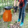 1 x 50L Litre Large Dustbin Refuse Bin Storage Animal Feed Waste Rubbish Bin & 1 x 14L Litre 3 Gallon Plastic Builders Bucket Cleaning Household Car Wash Bucket For Camping Fishing Water Pail (Random) view 4