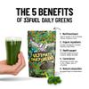 33Fuel Daily Greens Powder - UPF-Free Premium Superfood & Fibre Blend for Gut Health with only Natural Ingredients, Daily Greens Super Blend, Vegan, Handmade in The UK  Original view 3