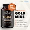 SOLVE Labs  Premium Siberian Chaga Mushrooom Capsules  10% Beta-D-Glucans  10:1 Concentrate  No Fillers & Additives  60 Capsules  1 Month Supply view 2