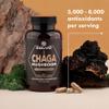 SOLVE Labs  Premium Siberian Chaga Mushrooom Capsules  10% Beta-D-Glucans  10:1 Concentrate  No Fillers & Additives  60 Capsules  1 Month Supply view 3